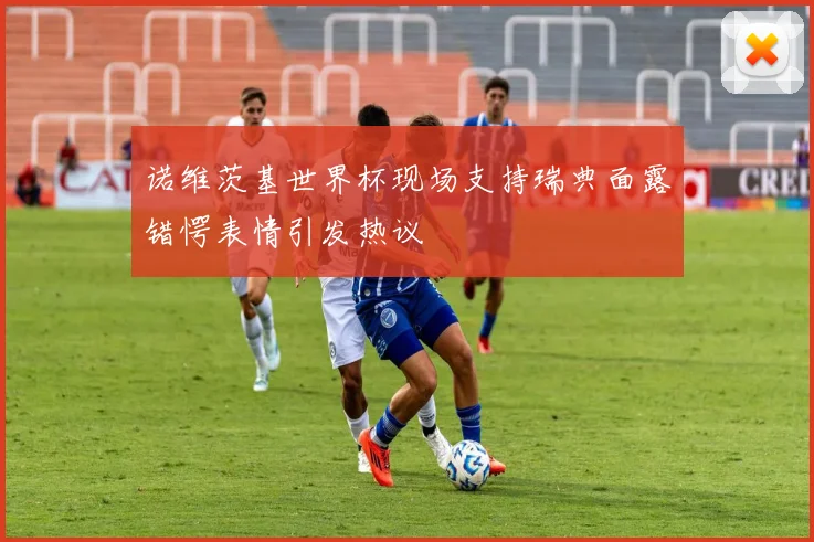 诺维茨基世界杯现场支持瑞典面露错愕表情引发热议