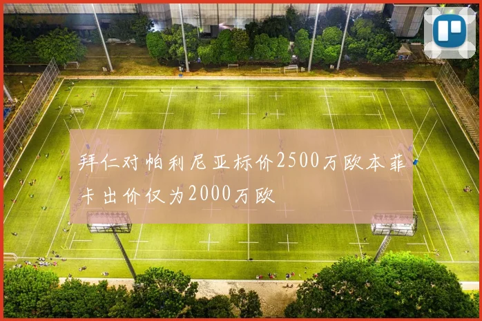 拜仁对帕利尼亚标价2500万欧本菲卡出价仅为2000万欧
