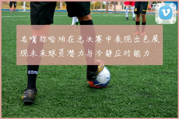 名嘴称哈珀在总决赛中表现出色展现未来球员潜力与冷静应对能力